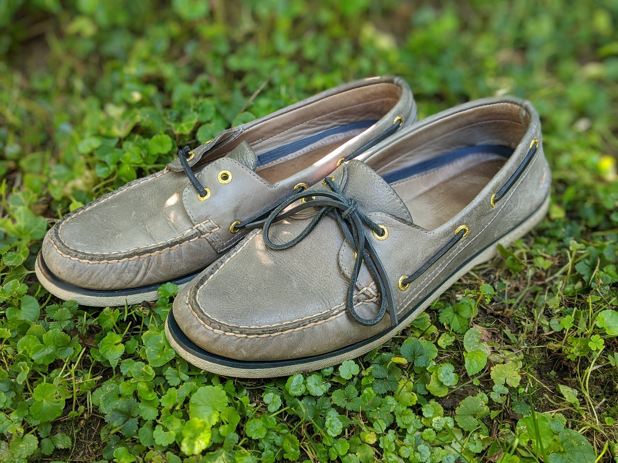 Sperry Top Sider Gold Cup: Five Year Review