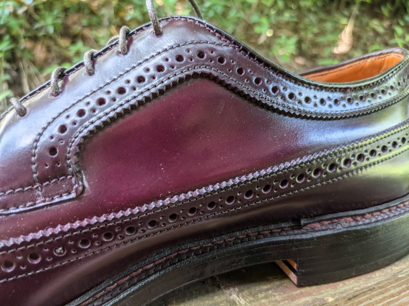 Shell color variation