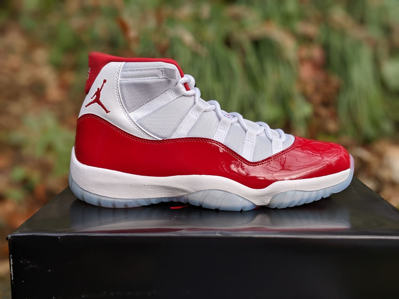 Jordan 11 Cherry: Still Sweet?