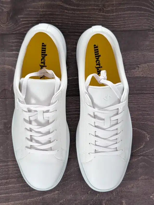 Amberjack Last Shape